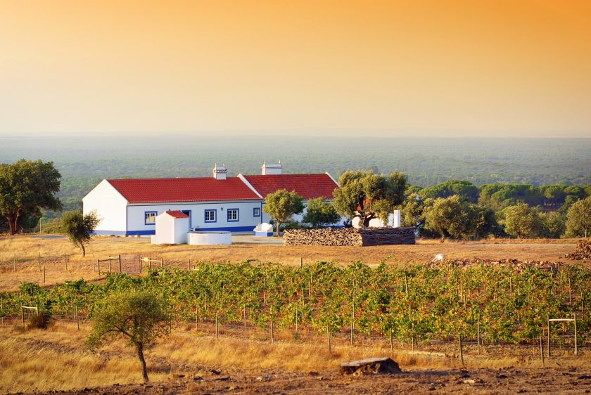 Countryside home in Alentejo